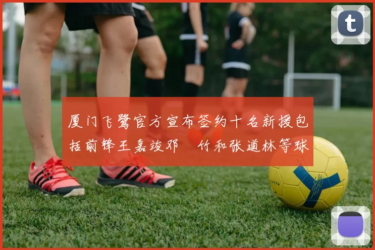 厦门飞鹭官方宣布签约十名新援包括前锋王嘉竣邓棽竹和张道林等球员